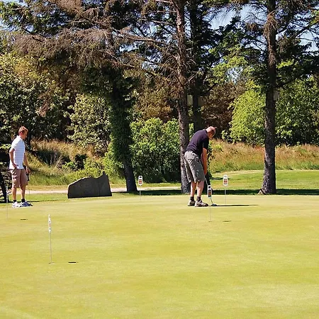 Holiday Svinget M-919